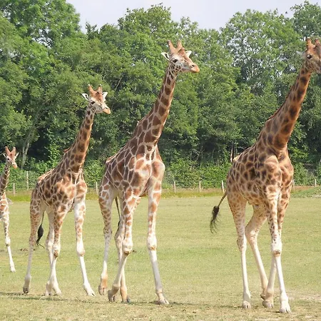 Le Loft Apartment Honfleur