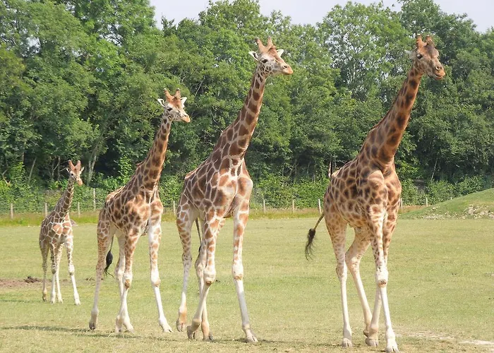 Le Loft Апартаменты Онфлёр